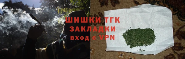 прущие грибы Покачи