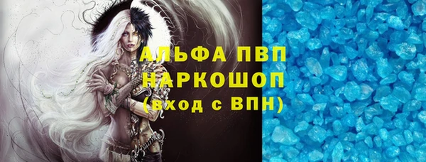 прущие грибы Покачи