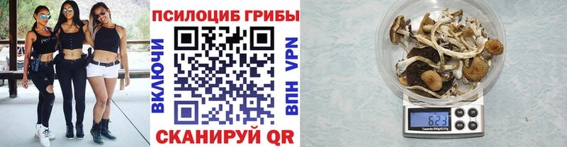 Галлюциногенные грибы GOLDEN TEACHER  Купить закладки  Энгельс 